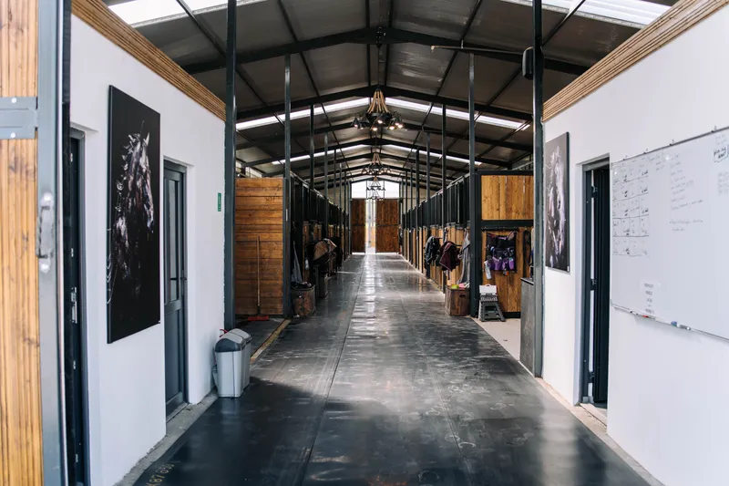 Interiorul grajdului academiei, cu boxe înșiruite de-a lungul holului luminos